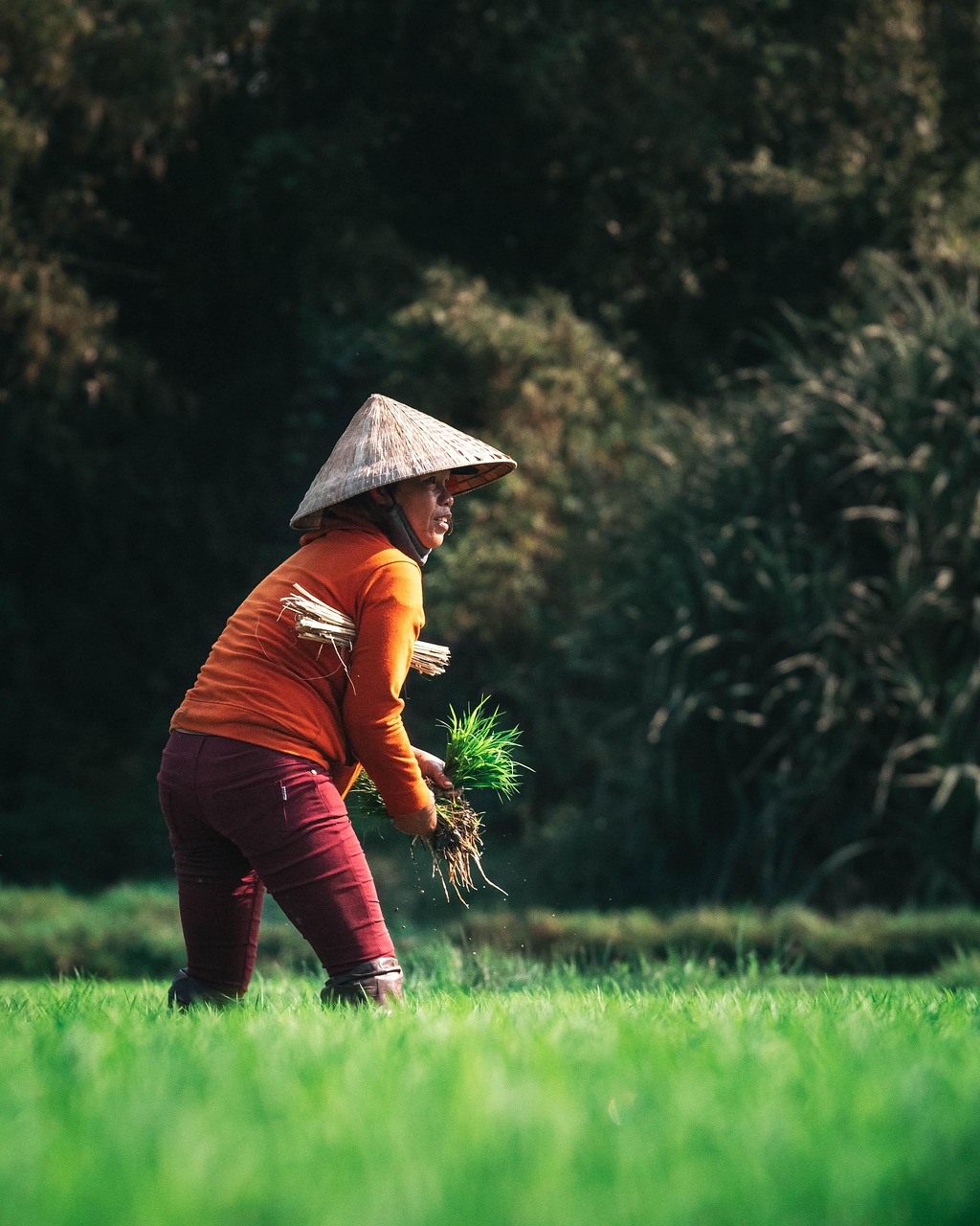 farmers peer learning field agroecology training