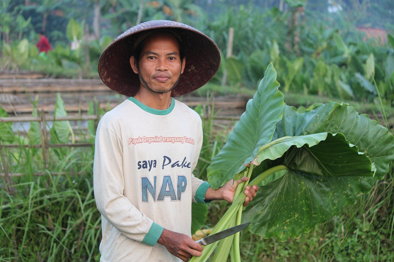 Buol komunitas agroekologi