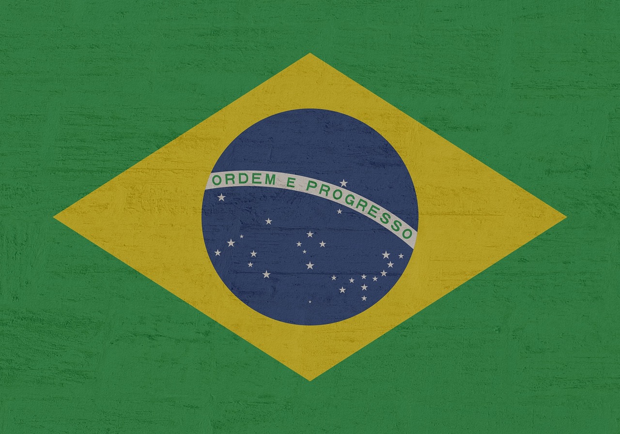 Brazil landless workers movement red flags march