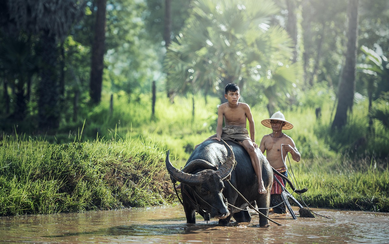 agroecology farm Indonesia farmers community